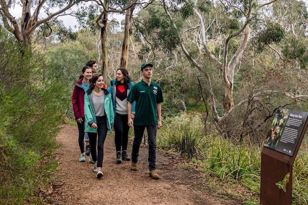 A ranger leading a group on a bushland walk