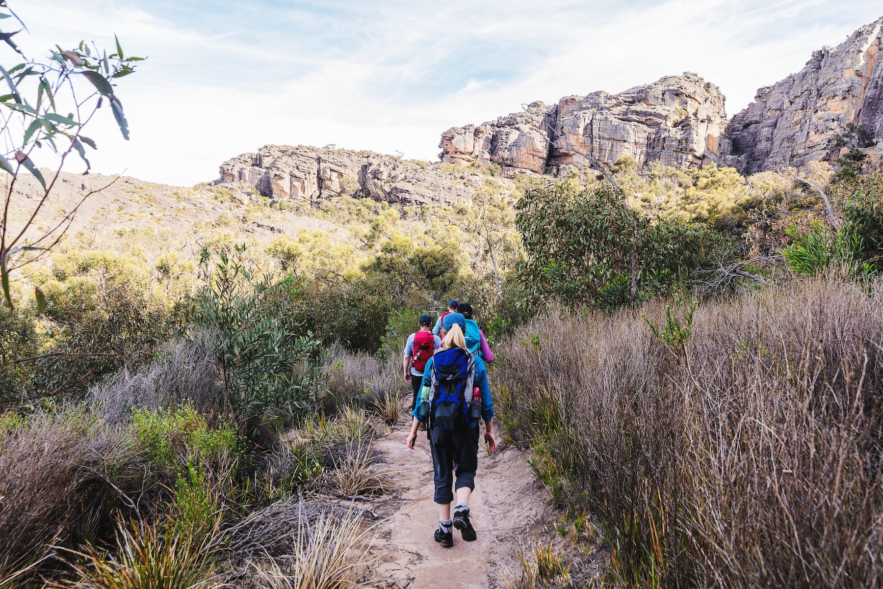 Bushwalkers walking single file along a dirt trail in grassy bushland with rocky formations in the distance.