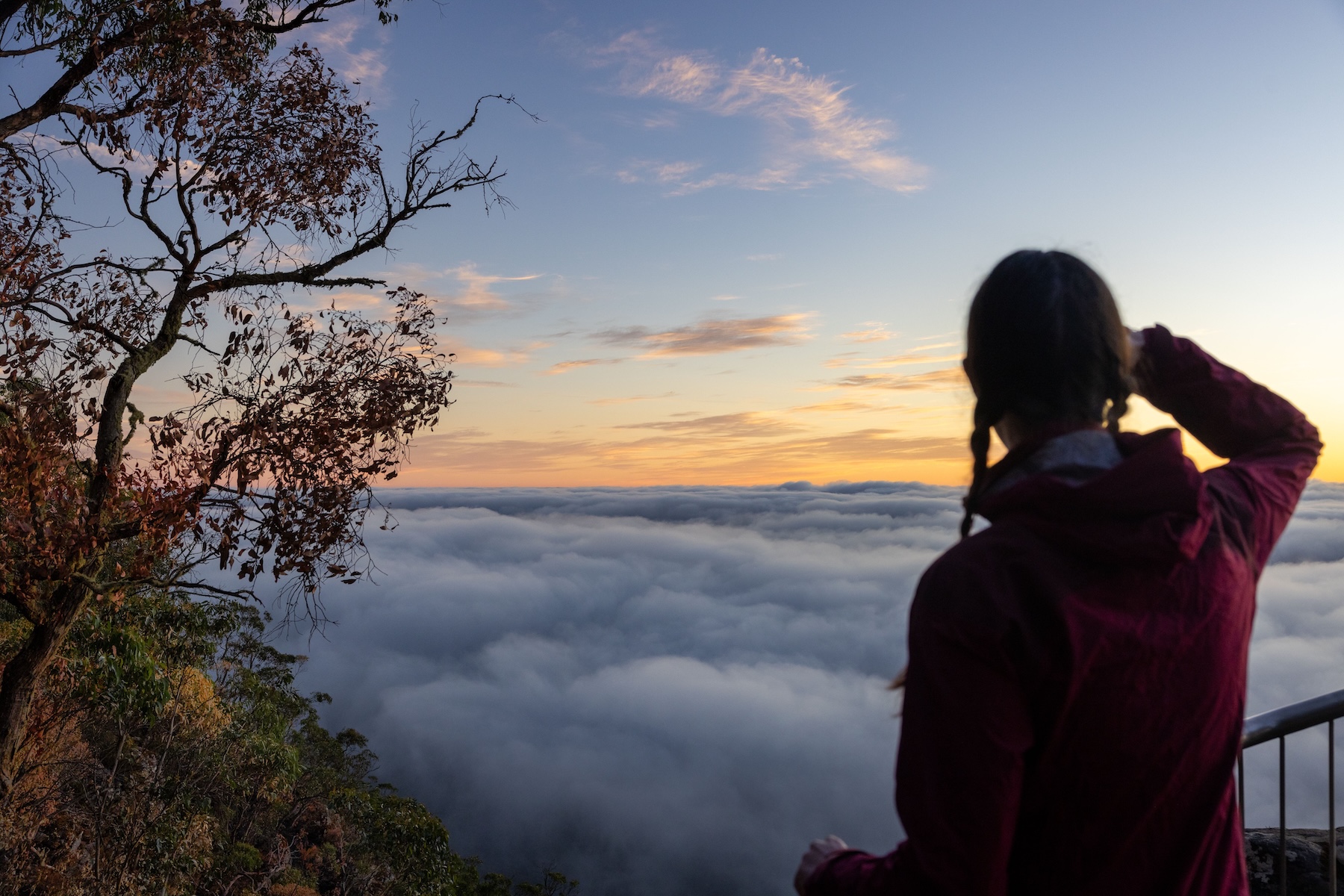 A woman stands at a lookout by the fence, gazing out at a view of leafy trees and clouds covering the lowlands. 