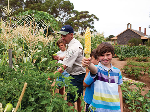 Gardening account image