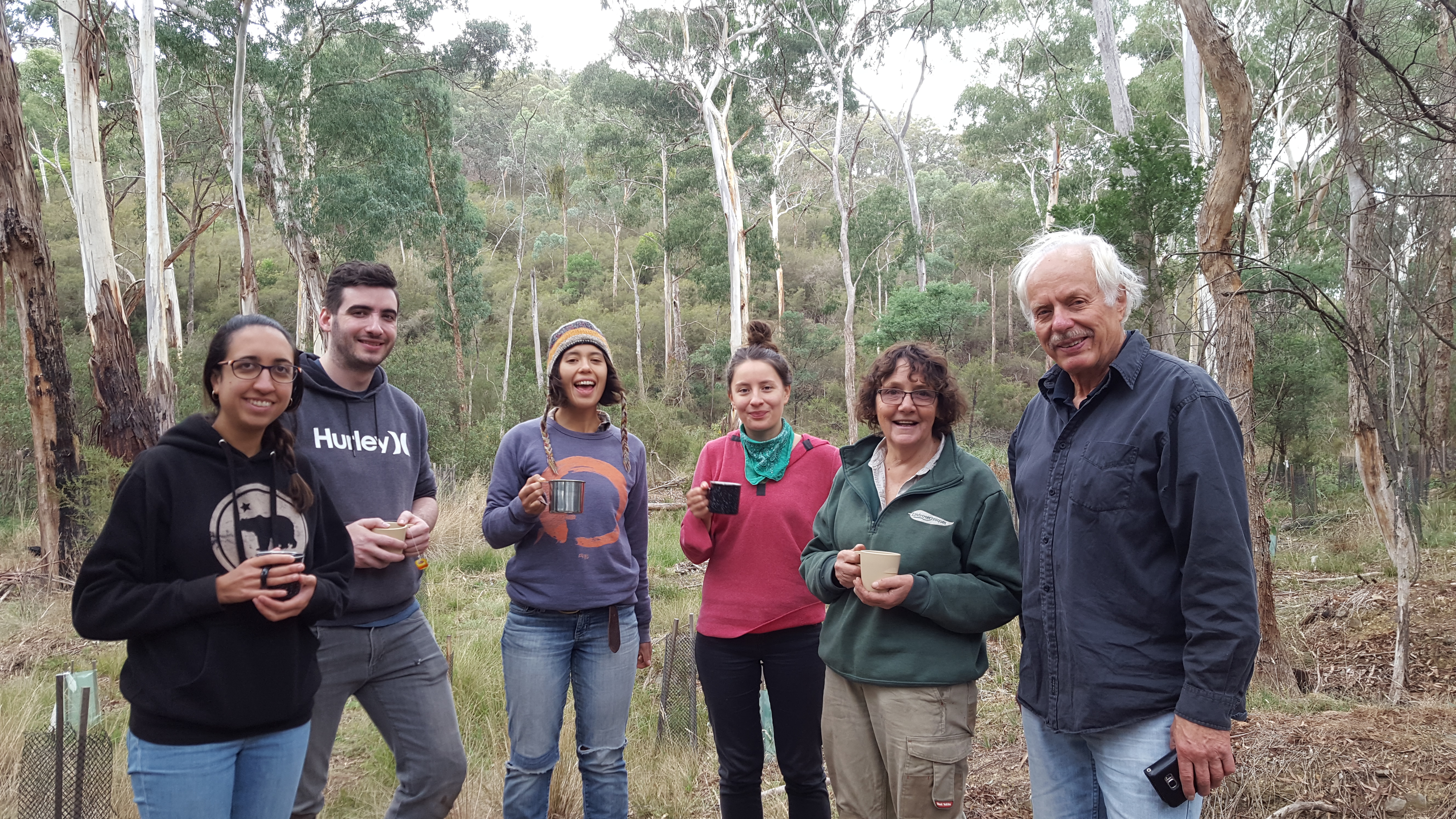 Andersons Creek Landcare account image