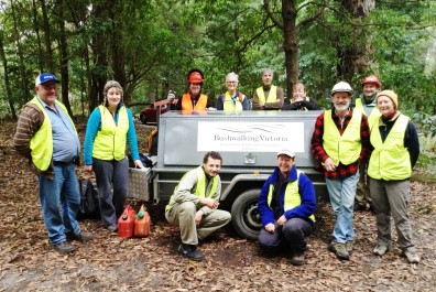 Bushwalking Victoria account image
