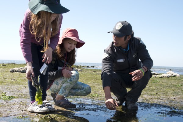 Park ranger and two children crouched over a rockpool.