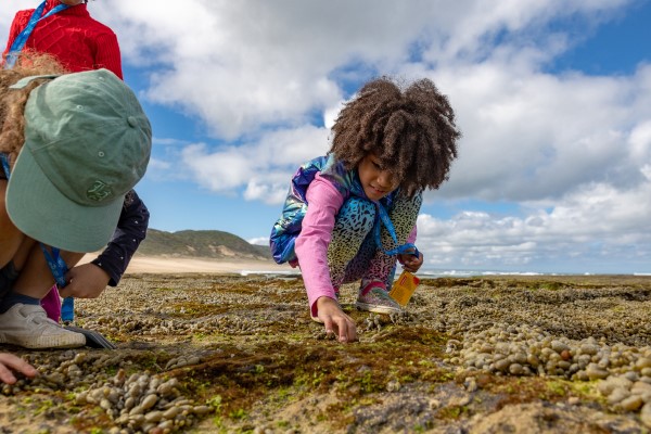 Two children examining a rockpool environment.