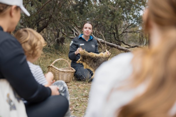 Park ranger kneeling with a possum skin, explaining her culture to a group of children.