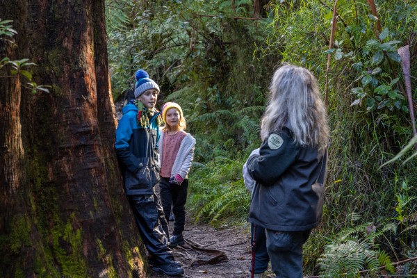 Park ranger talking to two children, older child is leaning on large tree.