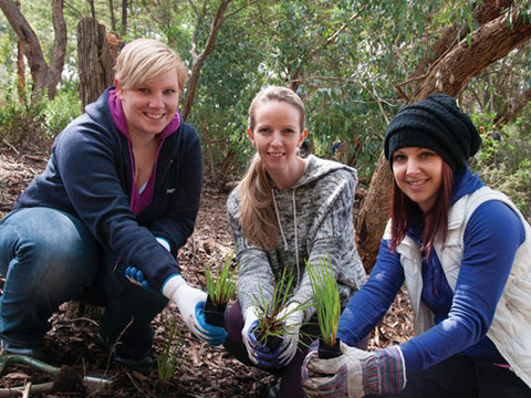 Revegetation account image